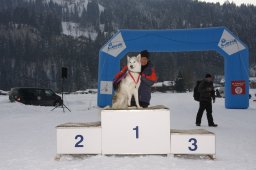 Lenk 2012 SM